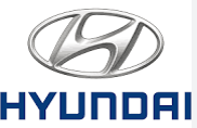 Go Gecko Client - Hyundai