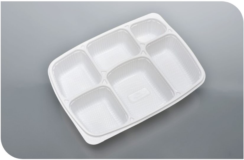 6 CP Meal Box with Lid