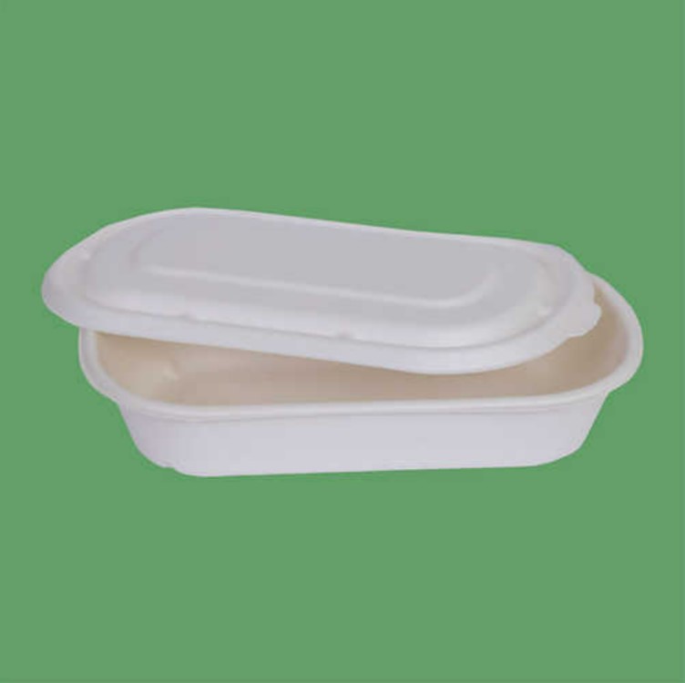 750-ml-container-with-lid